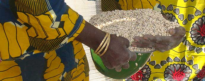 Devenez Partenaire de SIMAgri et restez en contact ! créez votre réseau, votre groupe ou votre sous-groupe